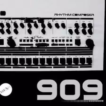 Raw Loops RAW 909 Drum Hits [WAV]