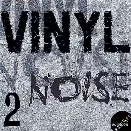Raw Loops Vinyl Noise 2 [WAV]