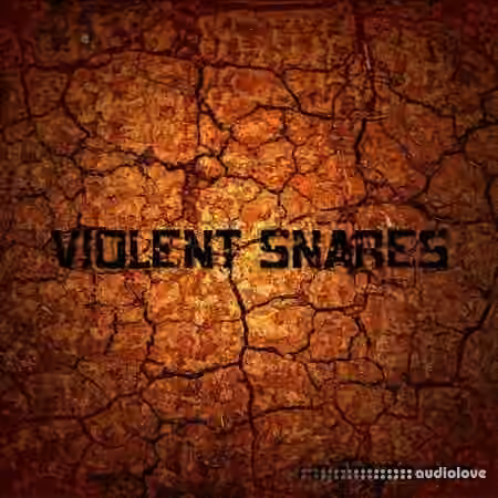 RawBeatz Violent Snares [WAV]