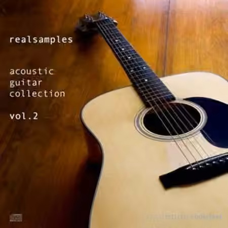Realsamples Acoustic Guitar Collection Vol.2 [MULTiFORMAT]