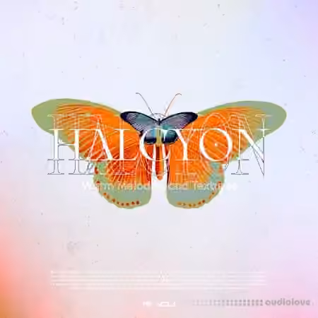 Renraku Halcyon Warm Melodics And Textures [WAV]