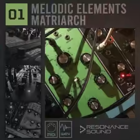 Resonance Sound Melodic Elements 01 Matriarch [WAV, MiDi]