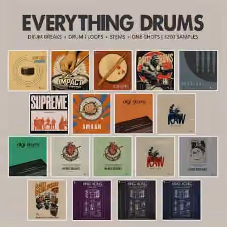 Retro Loops Everything Drums (One-Shots and Drum Breaks) [WAV]