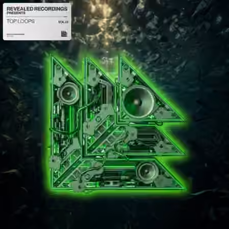 Revealed Recordings Revealed Top Loops Vol.13 [WAV]