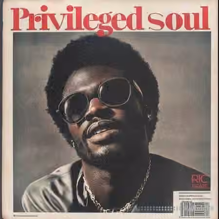 Ric Beats Privileged Soul Sample Pack [WAV]