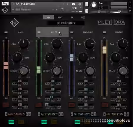 Rigid Audio Plethora [KONTAKT]