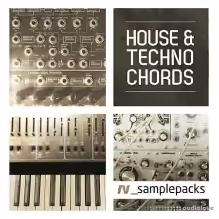 RV Samplepacks House and Techno Chords [MULTiFORMAT]