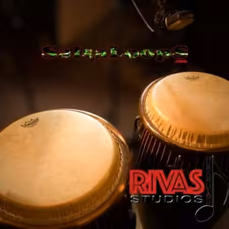Salsa Loops Modern Salsa Loops [WAV, AiFF]