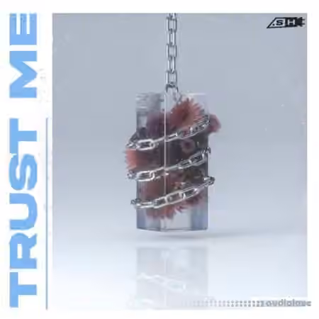 Sample Hub Trust Me [WAV, MiDi]