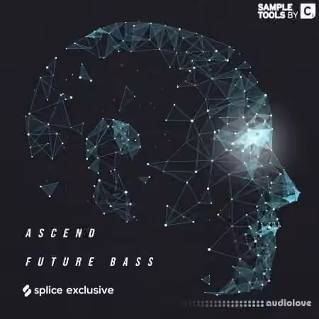 Sample Tools By Cr2 Ascend Future Bass [WAV]