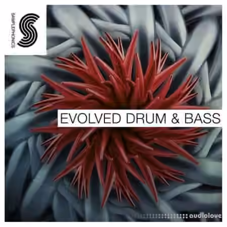 Samplephonics Evolved Drum and Bass [MULTiFORMAT]