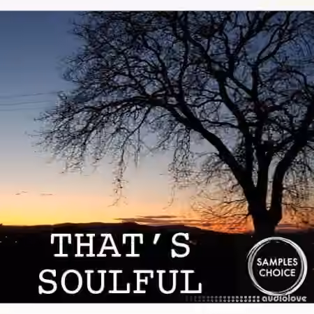 Samples Choice That's Soulful [WAV]