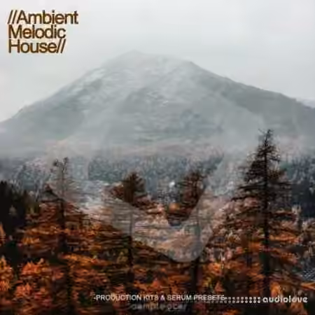 Samplestar Ambient Melodic House [WAV, MiDi, Synth Presets]