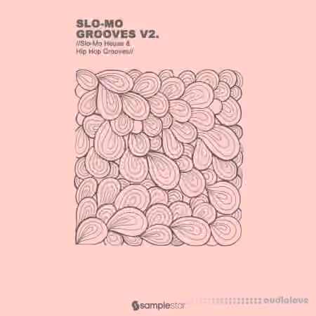 Samplestar Slo Mo Grooves V2 [WAV]