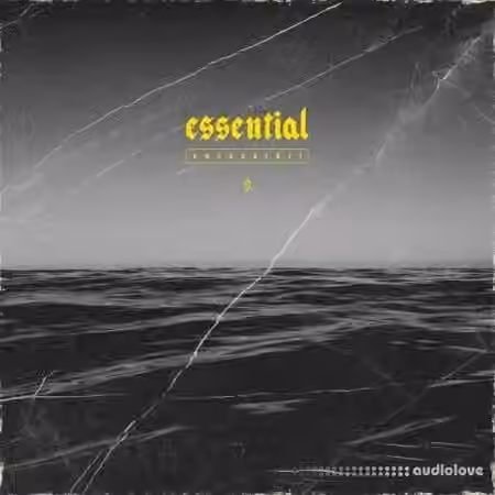 SAMUDAI Essential Bundle [WAV]