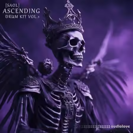 SAOL Ascending Drum Kit Vol.1 [WAV, MiDi, Synth Presets]