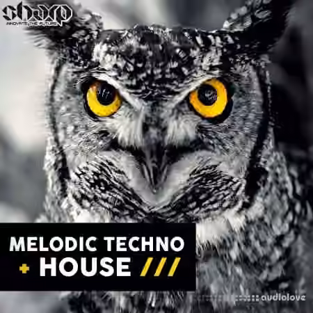 SHARP Melodic Techno and House [WAV, MiDi]