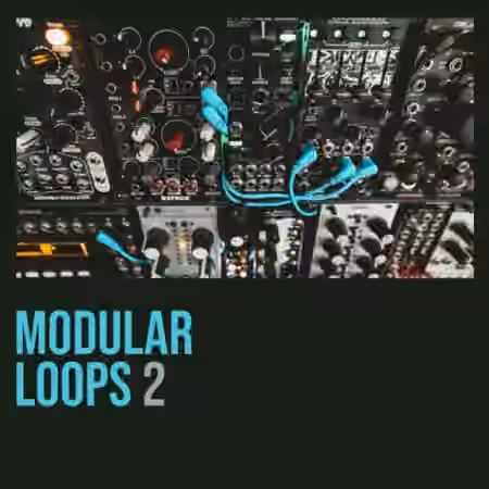 Shed Skin Records Shed Skin Records Modular Loops 2 [WAV]