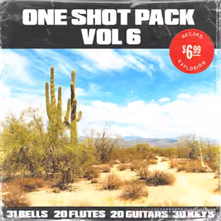 Shoe 100+ One Shot Pack Vol.6 [WAV]