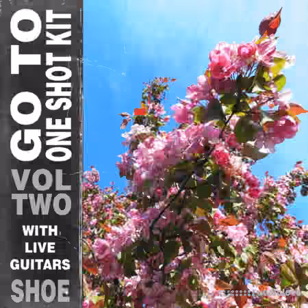 SHOE Go To One Shot Kit Vol.2 [WAV]