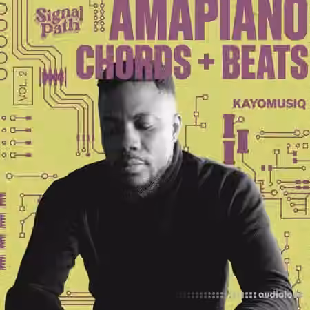 Signal Path Kayomusiq - Amapiano Chords And Beats Vol.2 [WAV]