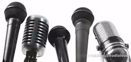 SkillShare Celebrity Level Voice Lessons 101 Beginner Level with Ashley Mandel [TUTORiAL]
