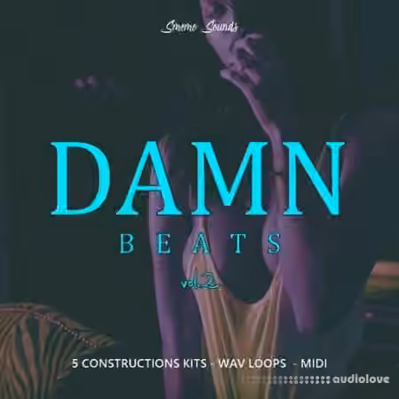 Smemo Sounds Damn Beats Vol.2 [WAV, MiDi]