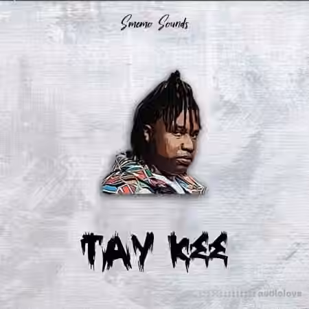 SMEMO Sounds Tay Kee [WAV, MiDi]