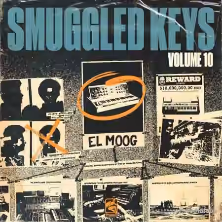 Smuggled Audio Smuggled Keys Vol.10 (Compositions and Stems) [WAV]