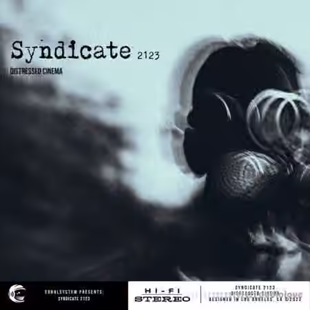 SonalSystem LLC Syndicate 2123 Distressed Cinema [WAV]