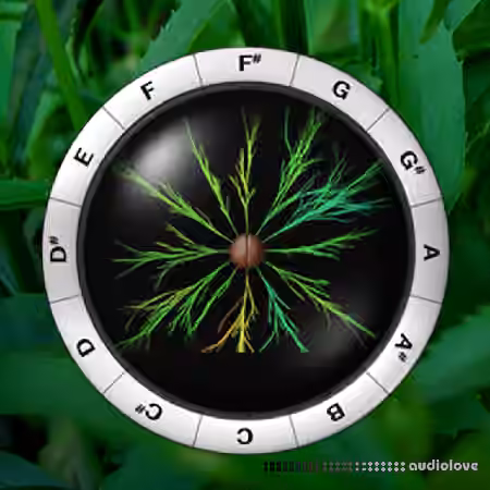 Sonic Charge Synplant v1.2.2 [WiN, MacOSX]