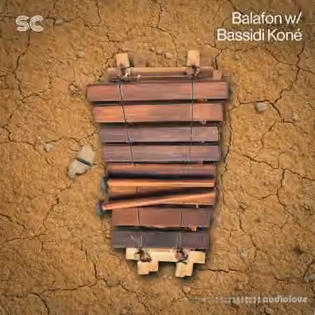 Sonic Collective Balafon w/ Bassidi Koné [WAV]