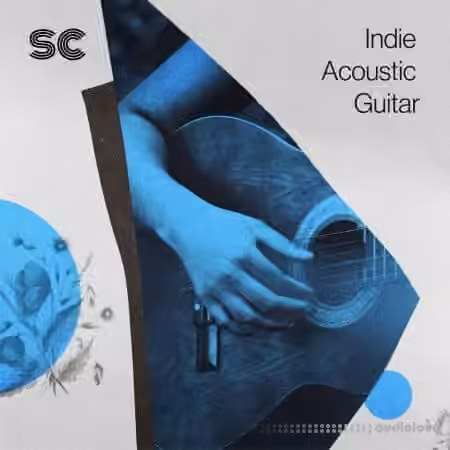 Sonic Collective Indie Acoustic Guitar [WAV]
