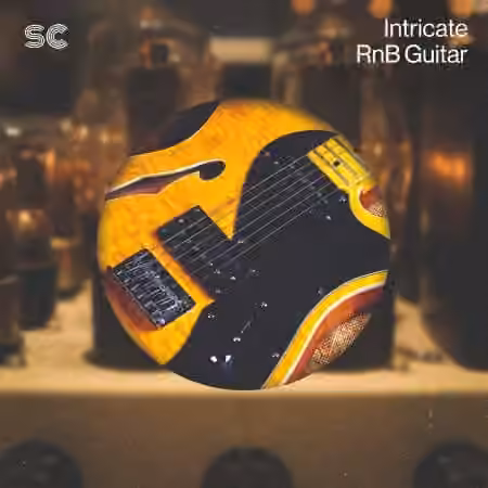 Sonic Collective Intricate RnB Guitar [WAV]