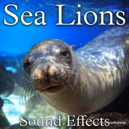 Soud Ideas Sea Lions Sound Effects [FLAC]