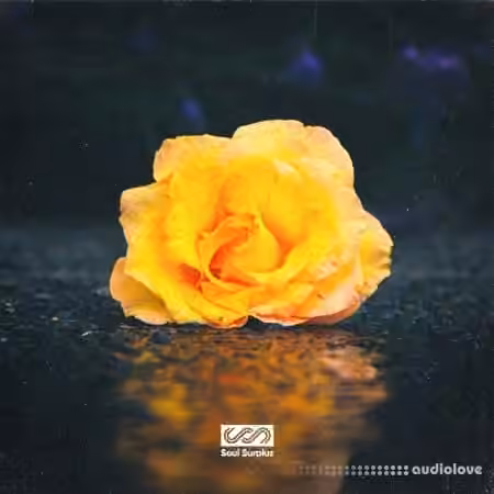 Soul Surplus Astra Hip-Hop Synthesis [Synth Presets]