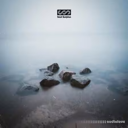 Soul Surplus Stepping Stones [WAV]