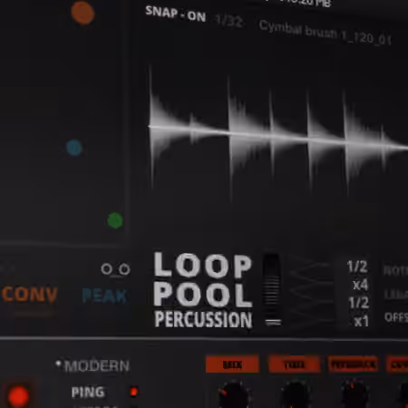 Sound Dust Loop Pool Percussion [KONTAKT]