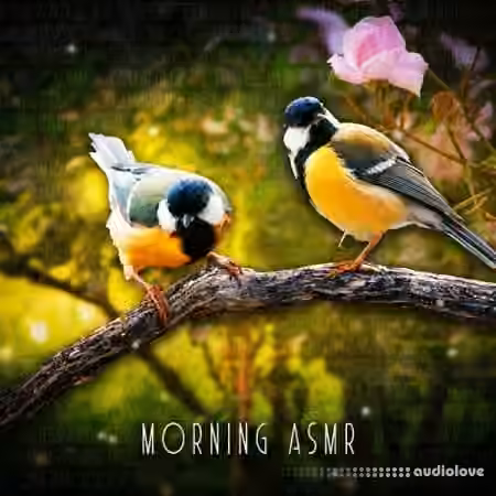 Sound Effects Zone Morning ASMR Sounds Of Birds Chirping [FLAC]