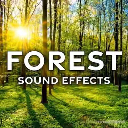Sound Ideas Forest Sound Effects [FLAC]