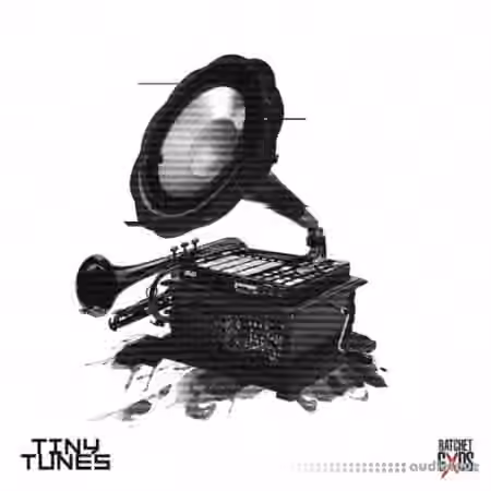 Sound Junkie Tiny Tunes by Sound Junkie [WAV]