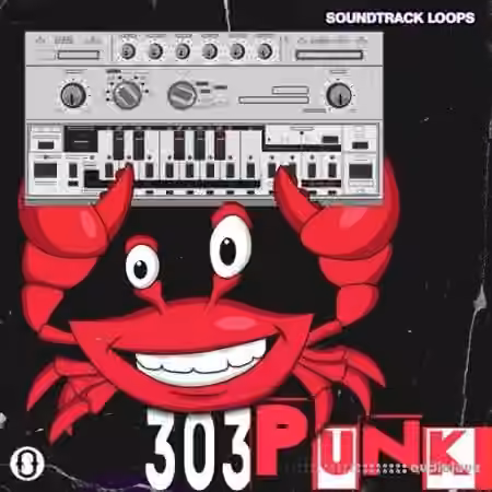 Soundtrack Loops 303 Punk [WAV]