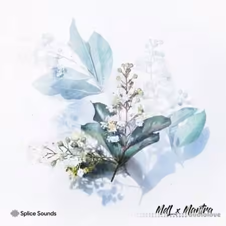 Splice MdL x Mantra [WAV]