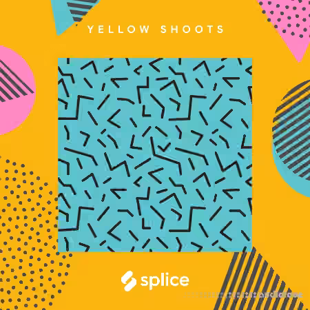 Splice Originals Alt RnB Guitars with Yellow Shoots [WAV]