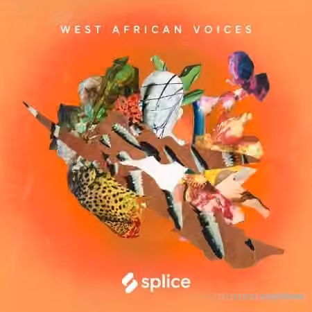Splice Sessions West African Voices [WAV]