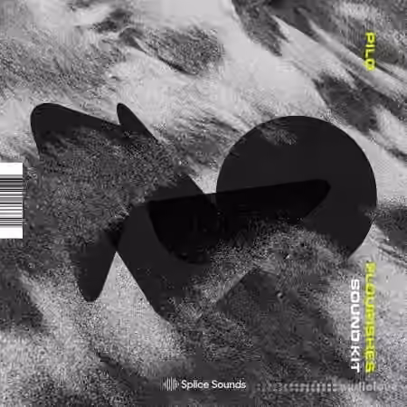 Splice Sounds BNR Presents PILO Flourishes Sound Kit [WAV]