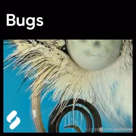 Splice Sounds Explores Bugs [WAV]