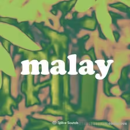 Splice Sounds Malay Sample Pack [WAV]
