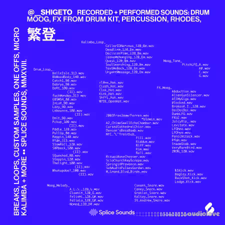 Splice Sounds Shigeto Sample Pack [WAV]