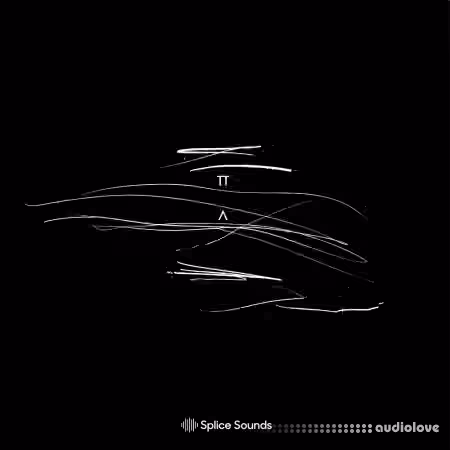 Splice Sounds Telefon Tel Aviv Sample Pack [WAV]